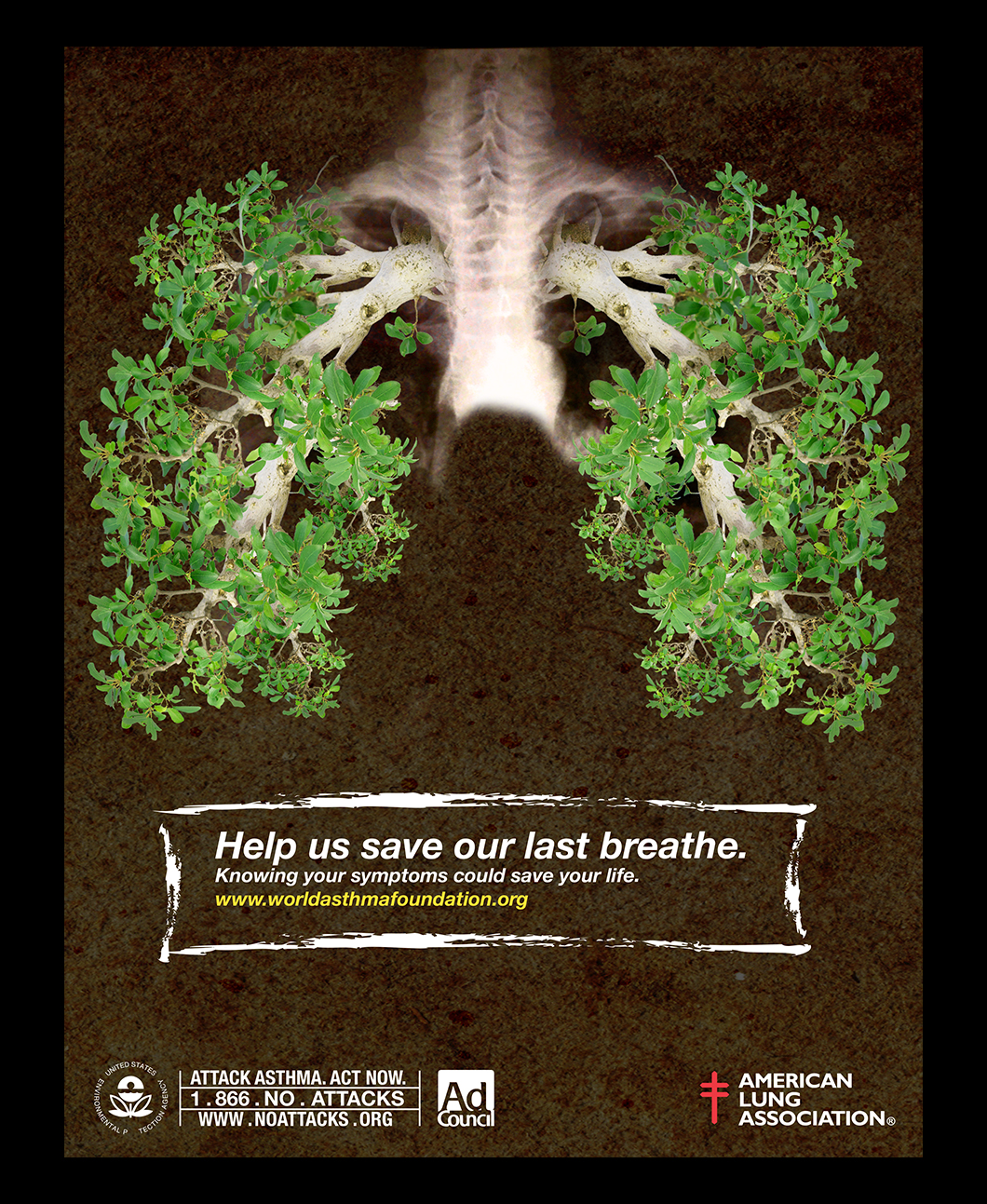 Poster - American Lungs Association